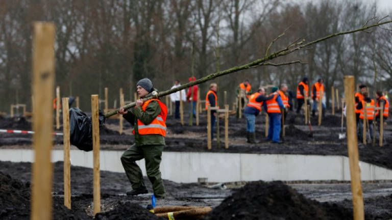 Dutch families plant first trees at MH17 memorial park