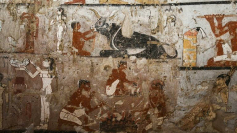 Egypt unveils tomb of ancient priestess