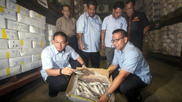 Adequate supply of fish for Aidiladha: Irmohizam