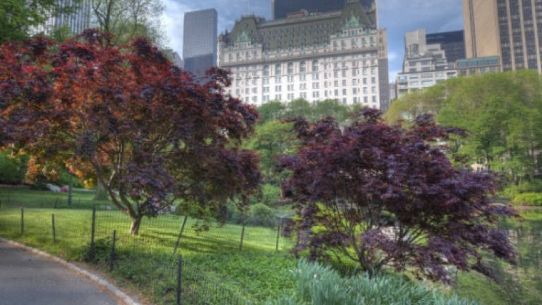Central Park re-opens secret sanctuary after 80 years
