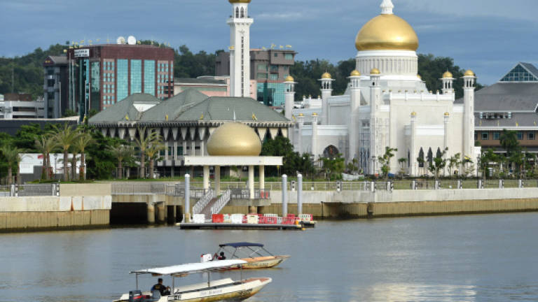 Brunei sultan to mark golden jubilee with lavish celebrations