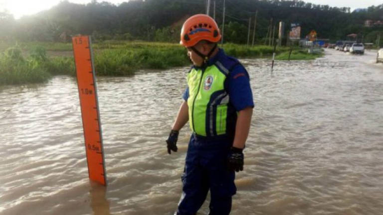 Number of Kota Belud flood victims rises to 453