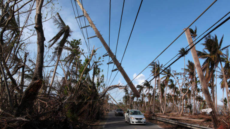 Puerto Rico population to drop 14% after hurricane