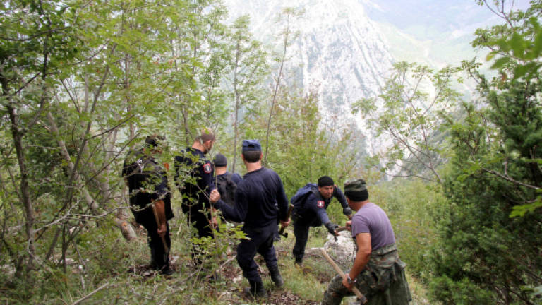 Albania destroys marijuana fields to clean up its image