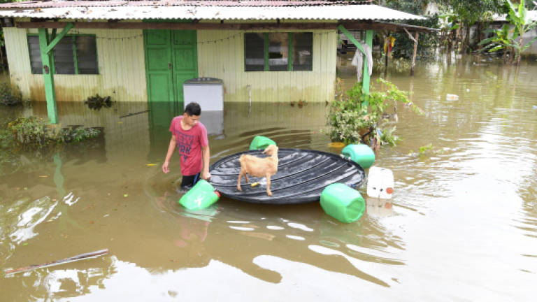 Terengganu flood situation improves, Pahang landslide clearing works continue