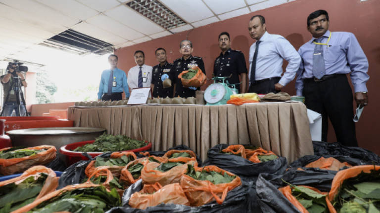 KL cops start off 2018 with ketum syndicate bust (Updated)