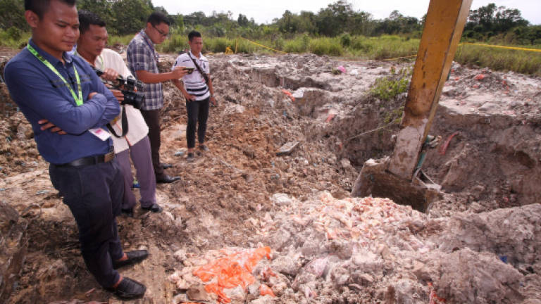 Chicken wings buried in Sibu from Netherlands, not New Zealand