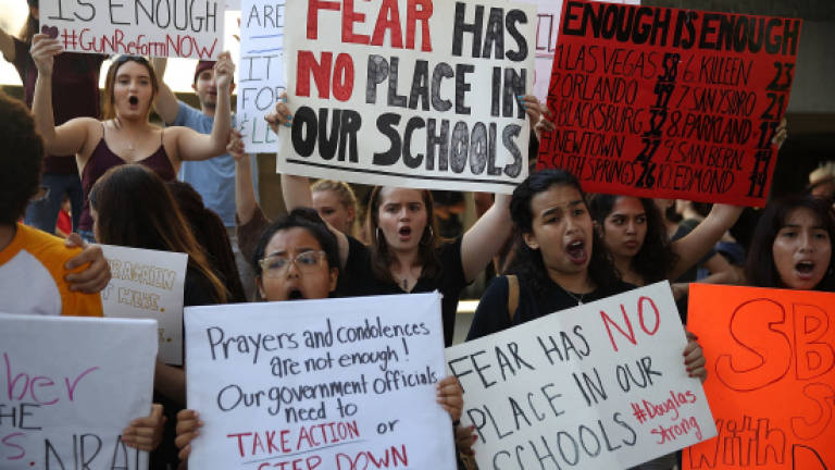 Florida students to march on Washington in call for gun reform