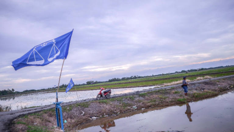 Flag and poster war on small scale in rural Kedah