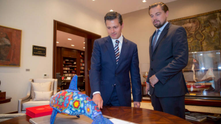 DiCaprio, Mexico in push to save vaquita porpoise