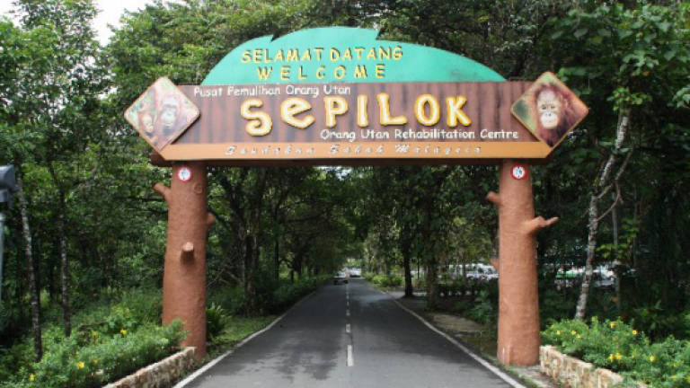 Mah visits Sepilok to better understand orangutan conservation efforts