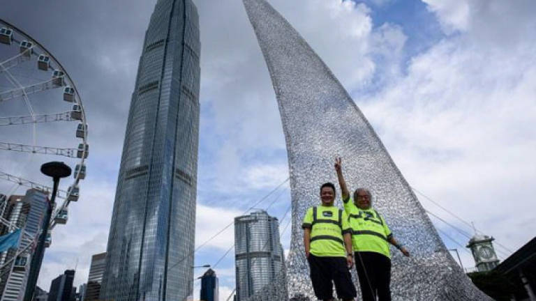 Hong Kong shark art protests at fin trade