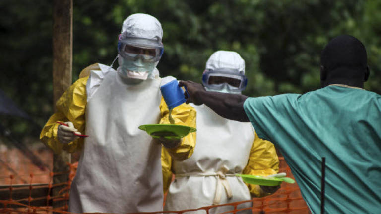 Pan-African airline suspends flights to Ebola hit countries