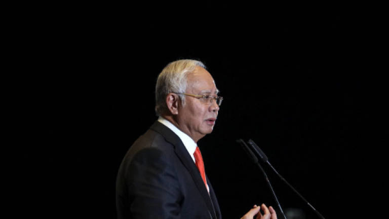 Bumiputra vendor programme a success: Najib