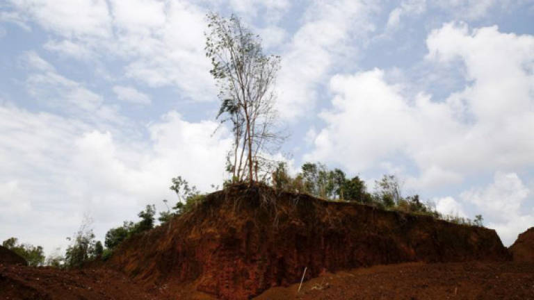 Landowners should be responsible to fill up disused bauxite mines