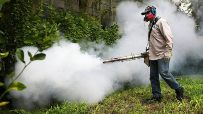 Aerial pesticide 'key driver' of zika's end in Miami
