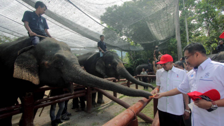 Elephant and tiger conservation centres to be world class eco-tourism attractions