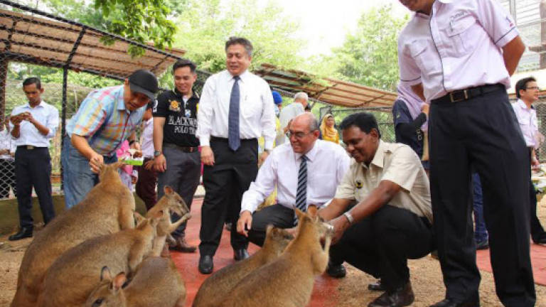Taiping Zoo &amp; Night Safari needs donations for animal feed
