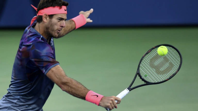Del Potro sets up Federer US Open showdown