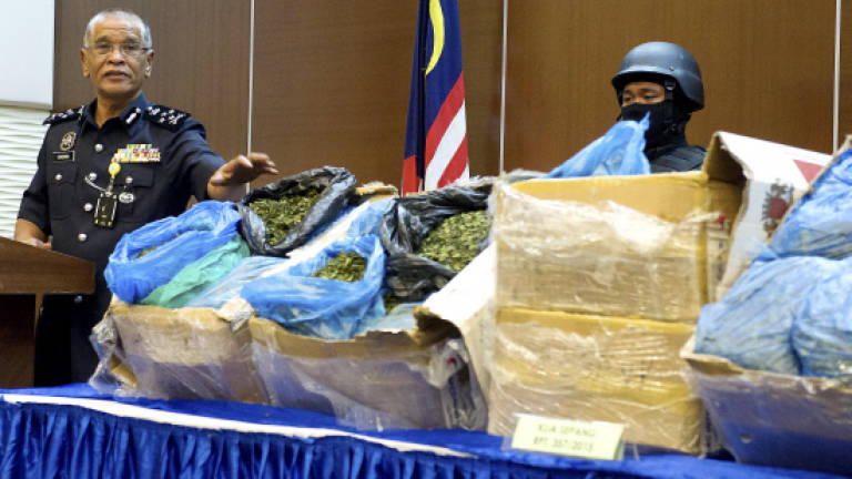 Police detect organic drug khat being smuggled into Malaysia