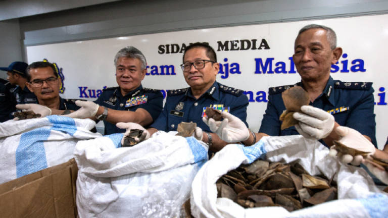 Imported pangolin scales worth over RM3 million seized