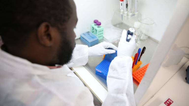 Ultra-secure lab in Gabon equipped for Ebola studies