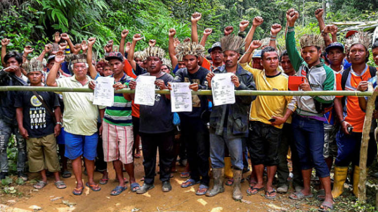 Orang Asli claim loggers taking machinery out of logging areas