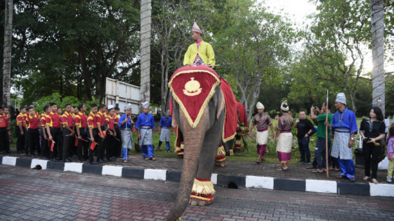 Kedah Sultan, Sultanah meet the people during historic parade