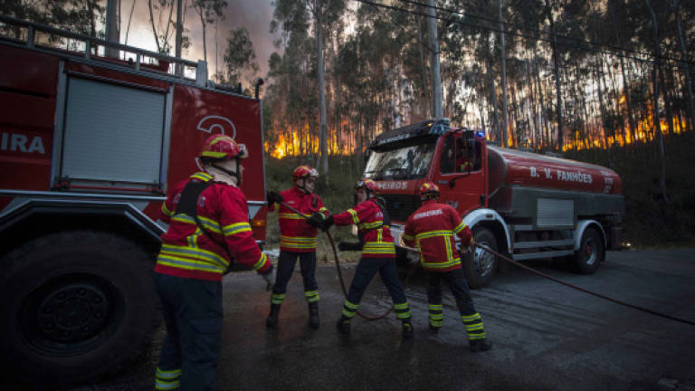 Forest fires strike southern Portugal after devastating north