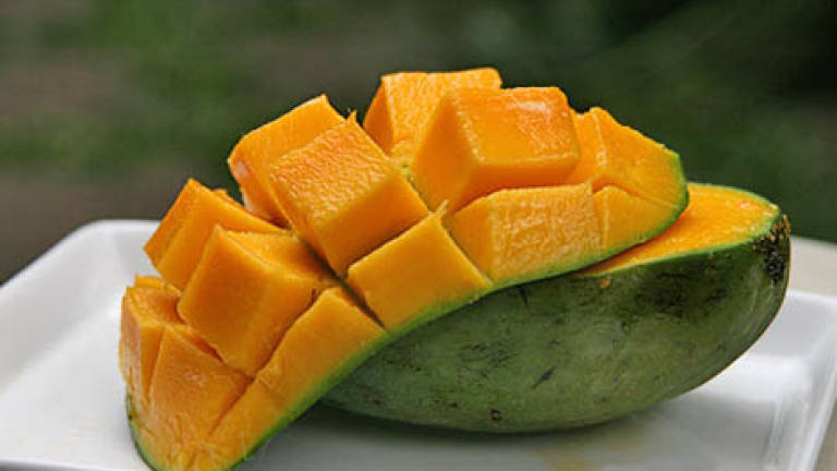 Farmers slam claim price of Harumanis mango has dropped