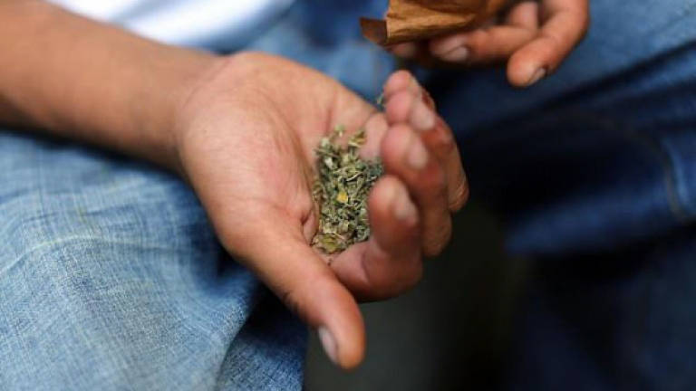 Synthetic cannabis blamed for spate of New Zealand deaths