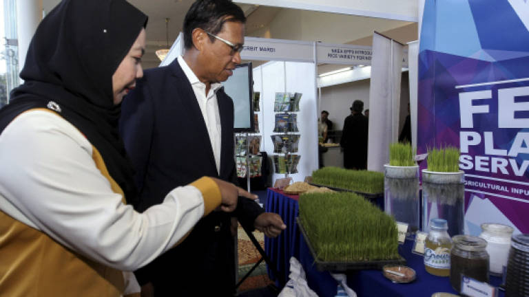 Rice production at 72% of self-sufficiency level: Ahmad Shabery