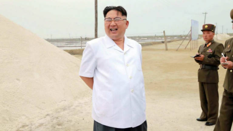 N. Korean leader's aunt runs dry-cleaner in US: Washington Post