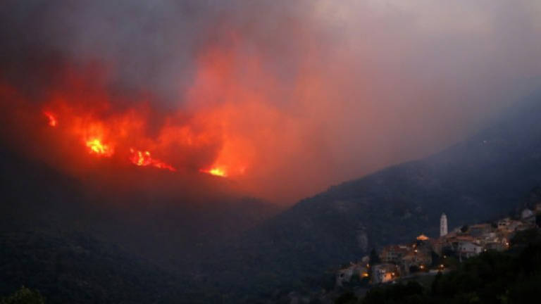 Corsica wildfire ravages 5,000 ha of forest