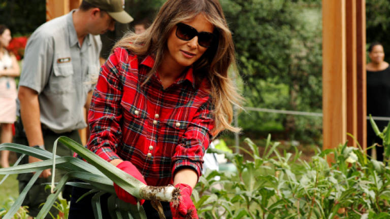Melania Trump harvests Michelle Obama's vegetable garden