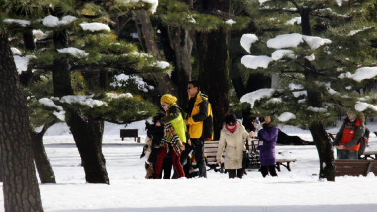 Five dead, 600 injured as snow storm hits Japan