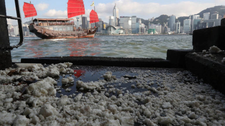 Beaches shut after palm oil spill in Hong Kong