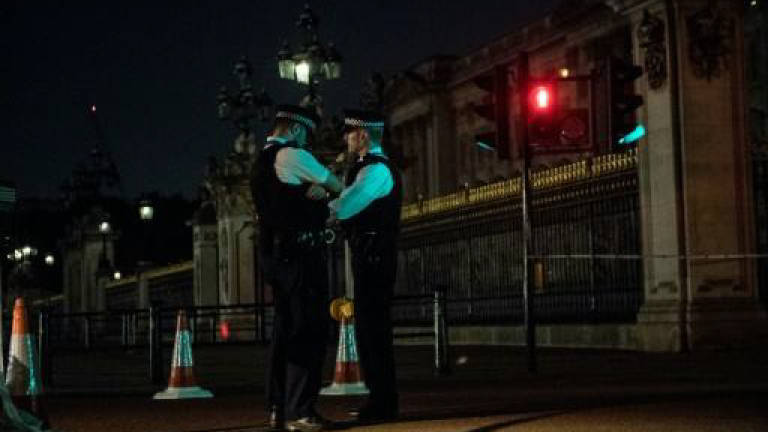 Buckingham Palace 'sword man' charged with planning terror act