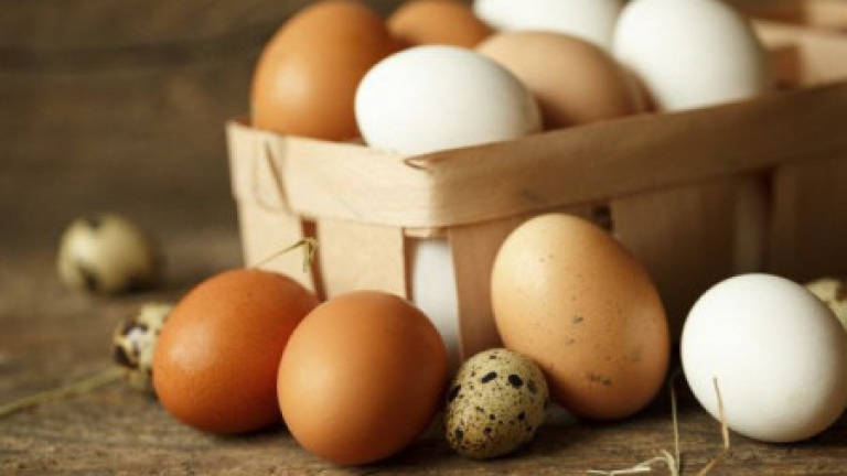 Can eating eggs help kids' growth?