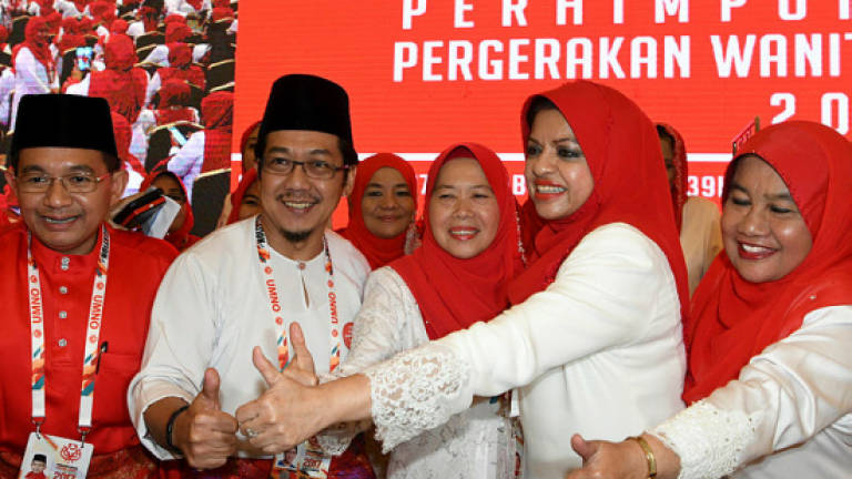 PM Najib did not blame the Chinese: Datuk Razali