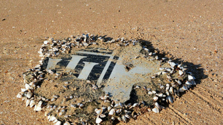 Why has compelling new evidence not revived MH370 search?