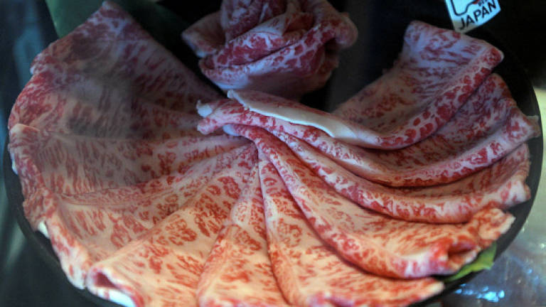 Wagyu beef: From Japan to Malaysia