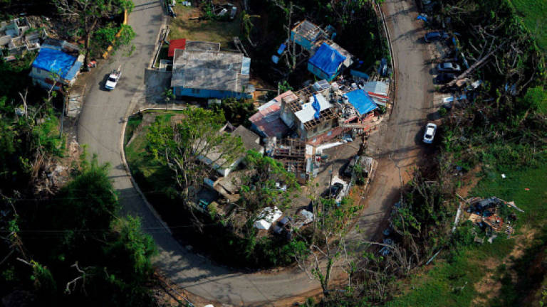 Trump donor-linked firm gets US$300m Puerto Rico contract