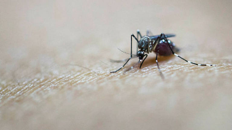 Dengue tops the list of infectious diseases in Malaysia