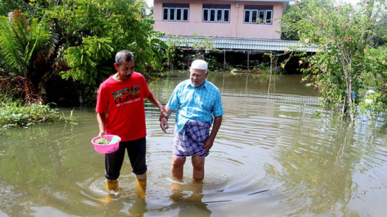 99 evacuated as floods strike two Perlis villages