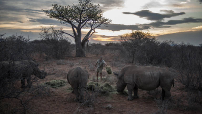 Military veterans seek new role in S. Africa poaching war