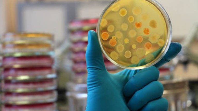 American patient with multidrug-resistant bacterial infection is saved by phage therapy