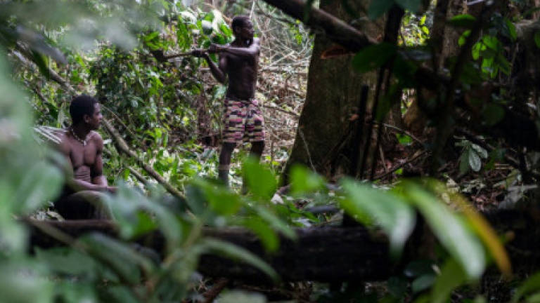 Wildlife groups accused of funding abuses against Pygmies in Africa