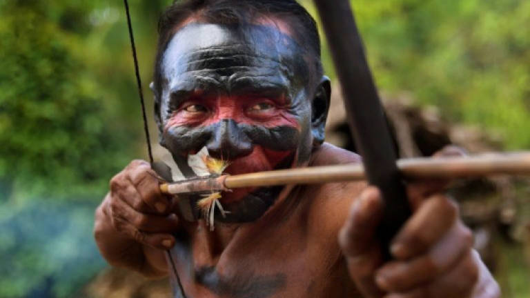 Tribe sharpens arrows against Amazon invaders