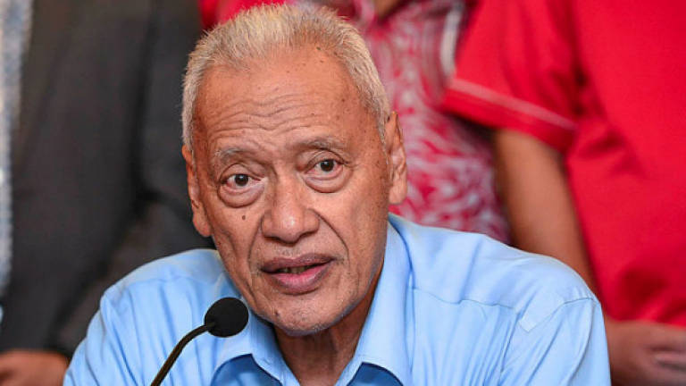 Opposition did not fight for Malay agenda: Mat Taib